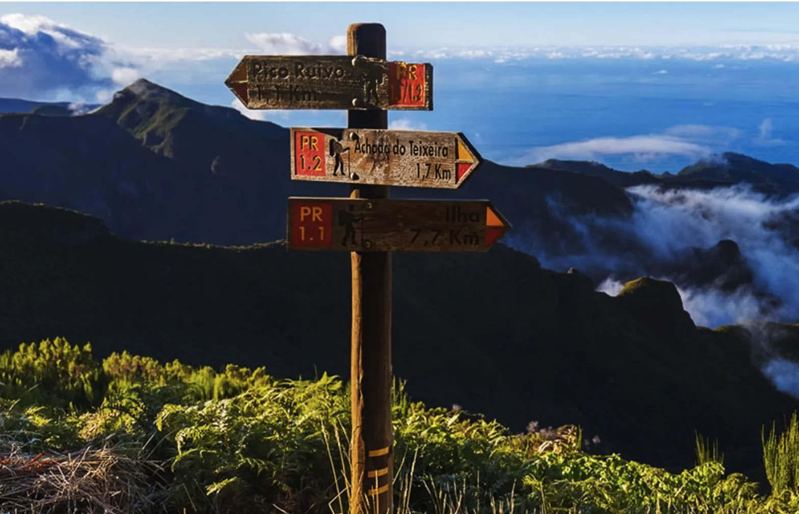 キャリアイメージ